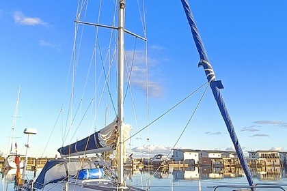 Noleggio Barca a vela Bavaria 36-3 Breege
