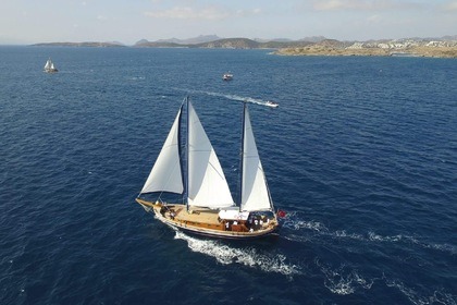 Charter Gulet bodrum 2014 Bodrum