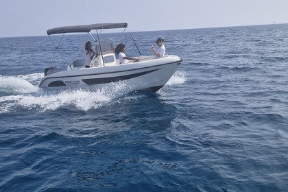 Arkos 557 - Anno 2025