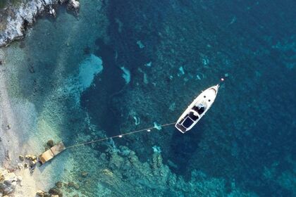 Princess Daily Cruises/Weekly Charters