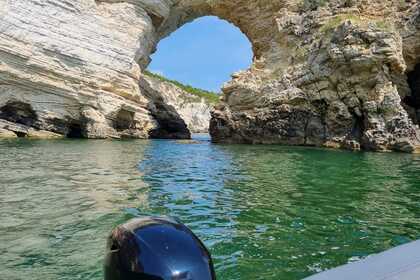 Tour in barca a Vieste con sosta bagno