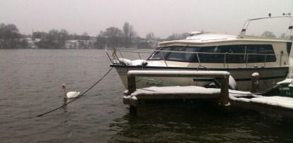 Charter Motorboat Avec Et Sans Capitaine Bege 900 Brussels