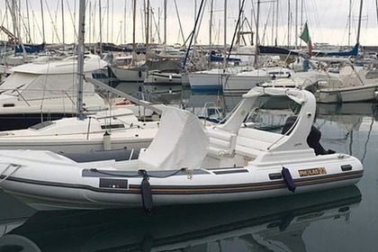 Pholas 23 RIB