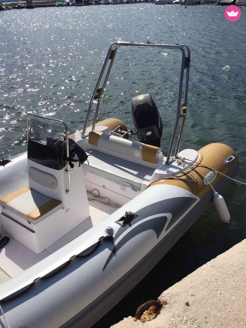 RIB Predator 490  