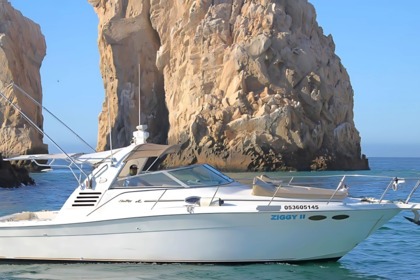 Alquiler Lancha Infinity 36 Cabo San Lucas