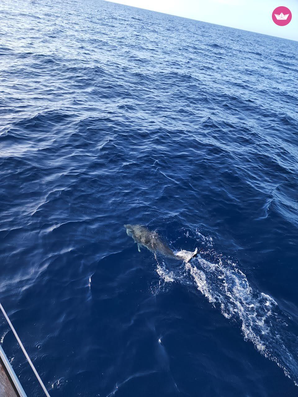 Hyra båt Dufour Gib Sea 43