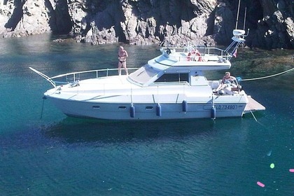 Miete Motorboot Ferretti 36'  Sunset Fly-Bridge Cannes
