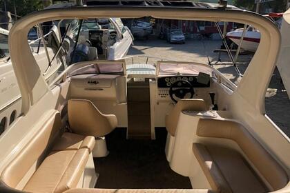 Rental Motorboat Real 29 Jurerê