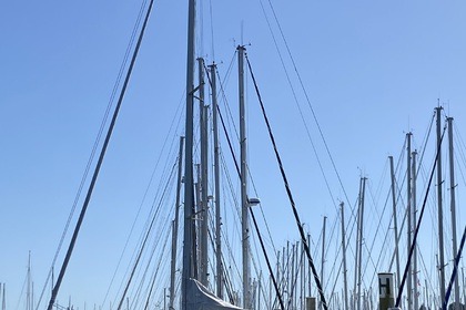 Croisières immersives First 50