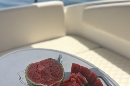 Saver 690 Cabin Sport Albatross