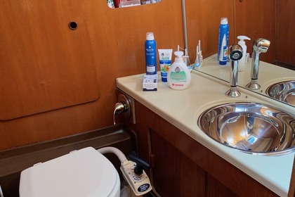 Comet 383 - Charternautica