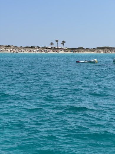 Ивиса Motorboat Ranieri Next 330 LX alt tag text