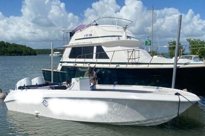 Verhuur Motorboot SAS PINEAU ACHAM 22L Guadeloupe
