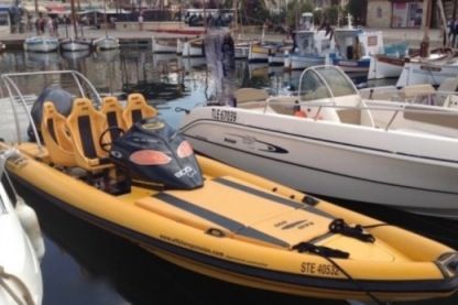 Location Bateau à moteur Miss Cat Performance 800 Raid Carpentras