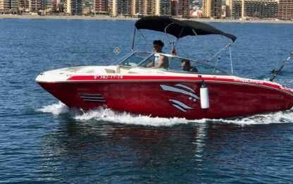 Charter Motorboat Sea Ray Select 210 Marbella