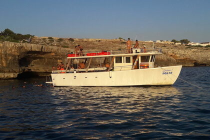 Rental Motorboat Tour boat 14 metri Torre Vado