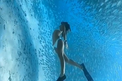 Location Bateau à moteur Fairline Corniche 31 Antibes