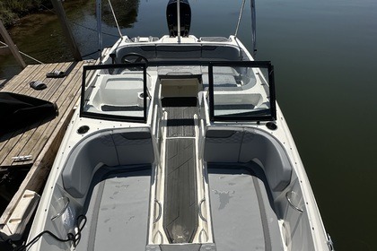 Bayliner M17 2024