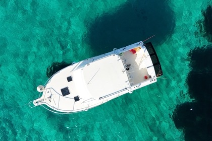 Miete Motorboot Pursuit Offshore 3000 Alghero