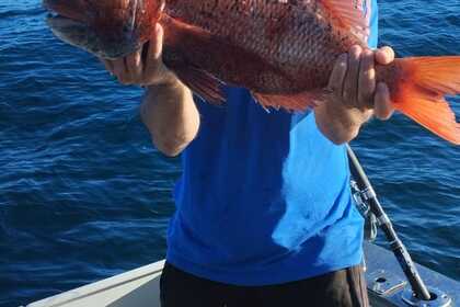 Pesca paseo Marbella