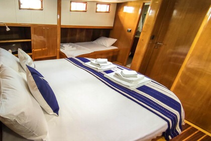 Custom built gulet with a capacity of 7