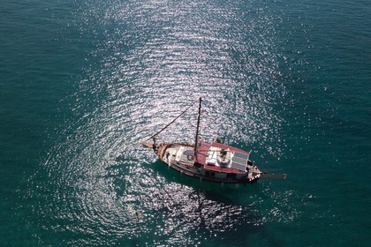 Alma Libre Daily Cruises