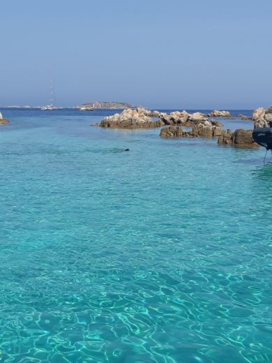 Palau Without license Bsc 50 SPECIAL alt tag text