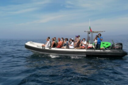 Charter Motorboat Bwa 850 Tróia Peninsula