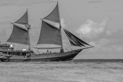 Rental Sailboat Haji Baso Phinisi Ironwood Schooner Komodo