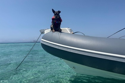 Alquiler Neumática Bwa 28 Sporty RIB Ibiza