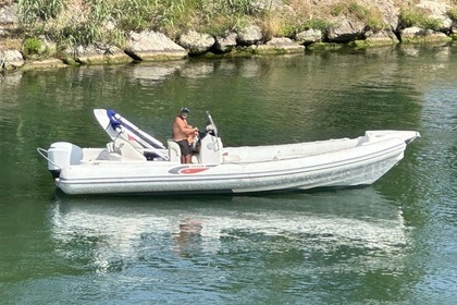 Hire RIB Selva Marine D800 Mandelieu-La Napoule