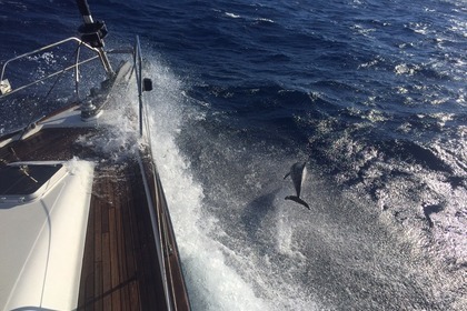 Ocean Star 56.1 (Skippered)