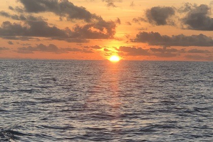 Daily private boat excursions