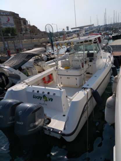 Charter Motorboat Boston Whaler Outrage 290 Ta' Xbiex