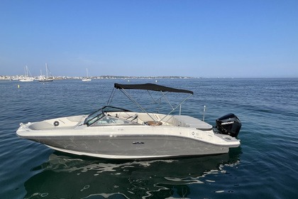 Location Bateau à moteur Sea Ray SPX 210 Cannes