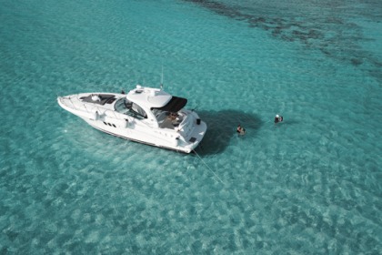 Searay 40 ft sundancer