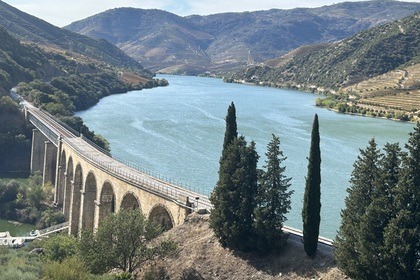 FEEL THE NATURE CRUISE