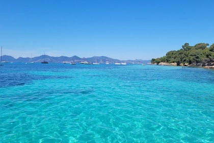 Rigiiflex, CAP 400 version Luxe