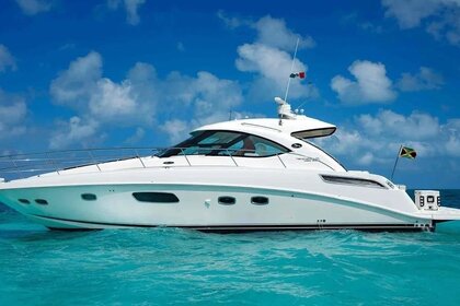 Noleggio Barca a motore Sea Ray 47 Cancún