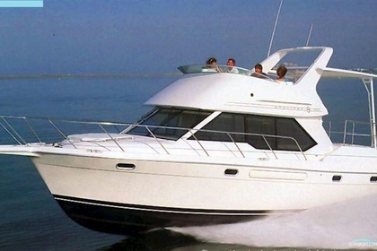 Charter Motorboat Bayliner 3587 Çeşme