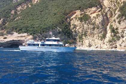 Motonave Falco della Regina