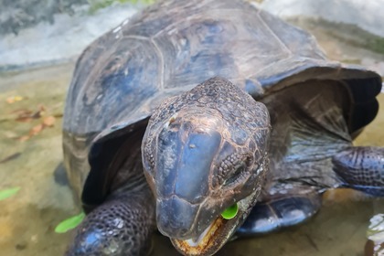 Daily private boat excursions
