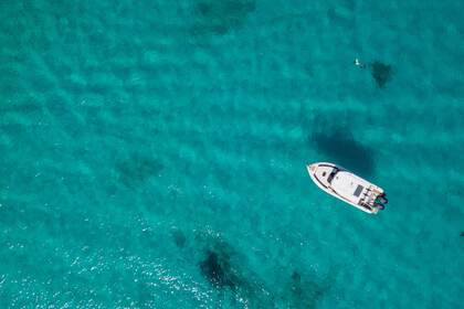 Bahri Charters  - power boat daily cruise