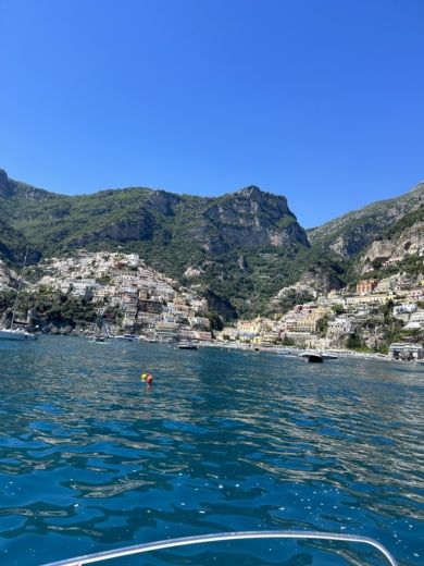 Salerno Without license romar bermuda 570 alt tag text