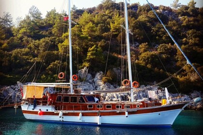Miete Gulet Up to Date 2003 - 2019 Bodrum