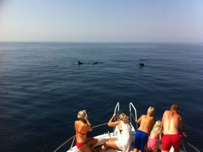 Alquiler Lancha Rodman 1100 Fisher Benalmádena