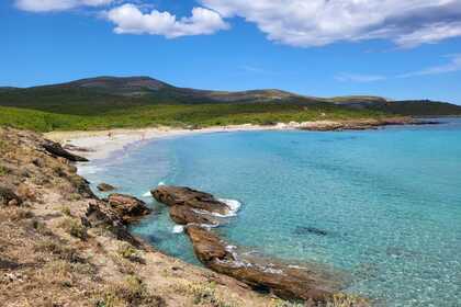 Velero Clasico Vagabond47