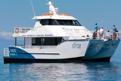 Custom Catamaran 18mt