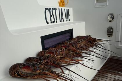 Lagoon 46 "C'est la Vie"