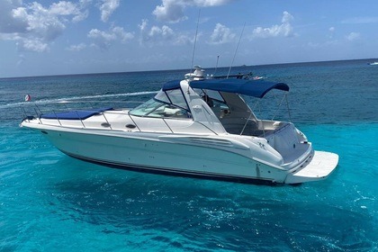 Charter Motorboat Sea Ray 41 Cozumel